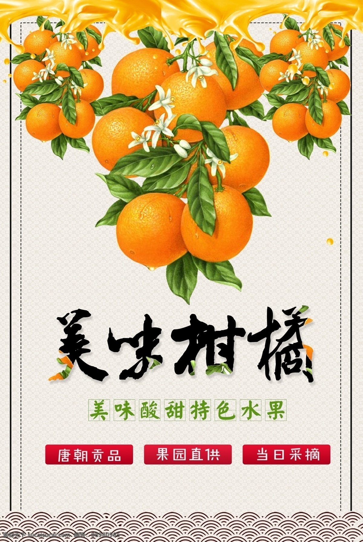 美味柑橘图片 橙子 柑橘海报 硕果累累 橙汁 云底纹