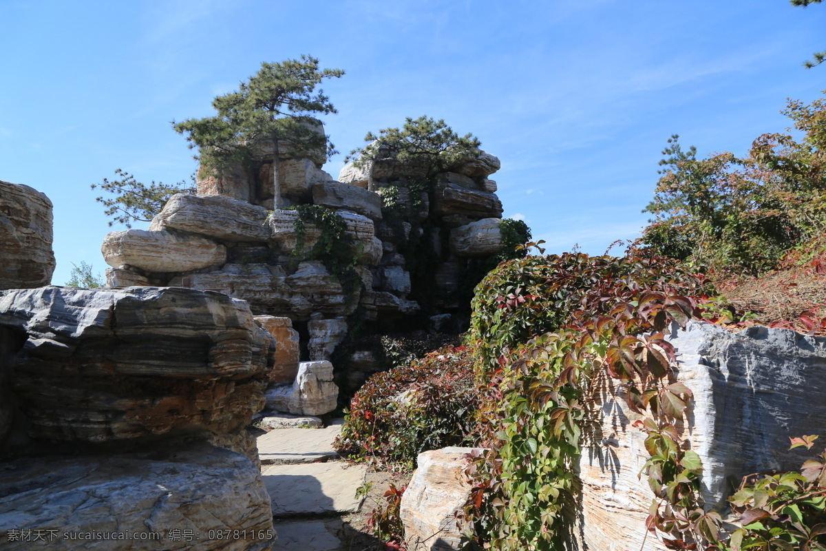 山石 假山 景观石 园林绿化 园林 园林景观 装饰画 绿化景观 树木 松树 景观山石 建筑园林 园林建筑