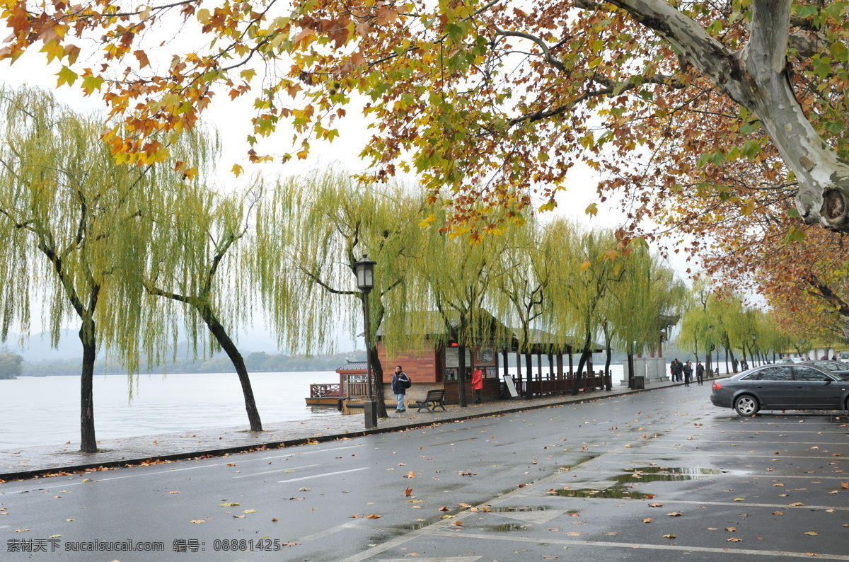 西子湖畔 西湖 西子 湖畔 苏堤 白堤 柳树 梧桐 落叶 秋天 小雨 杭州 国内旅游 旅游摄影