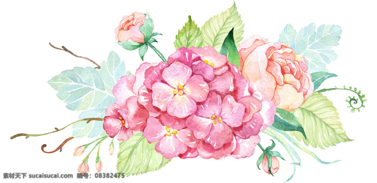 手绘 水彩 透明 底 花卉 植物 透明底 高清 花 底纹边框 花边花纹