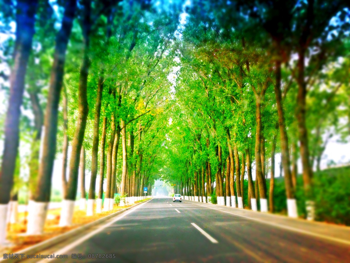 百里画廊 公路 绿树 北京 郊外 印象北京 自然景观 自然风景