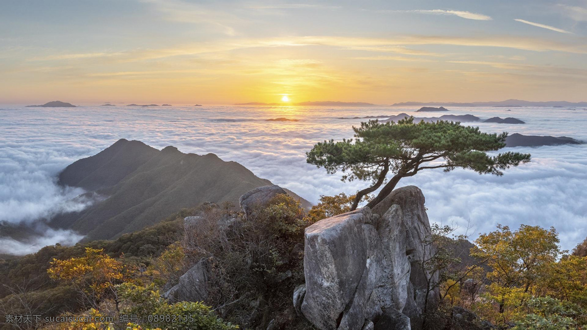 风景图片 风景 桌面壁纸 自然景观 自然风景 壁纸图片 壁纸 山水风景 山水画图片 河流 唯美图片 风景画 风景壁纸 唯美壁纸 唯美素材 背景图片 背景素材 蓝天白云 大自然 高清风景图片 拍摄 生态 绿叶 花 草 植物 植物特写 拍摄素材 蓝天