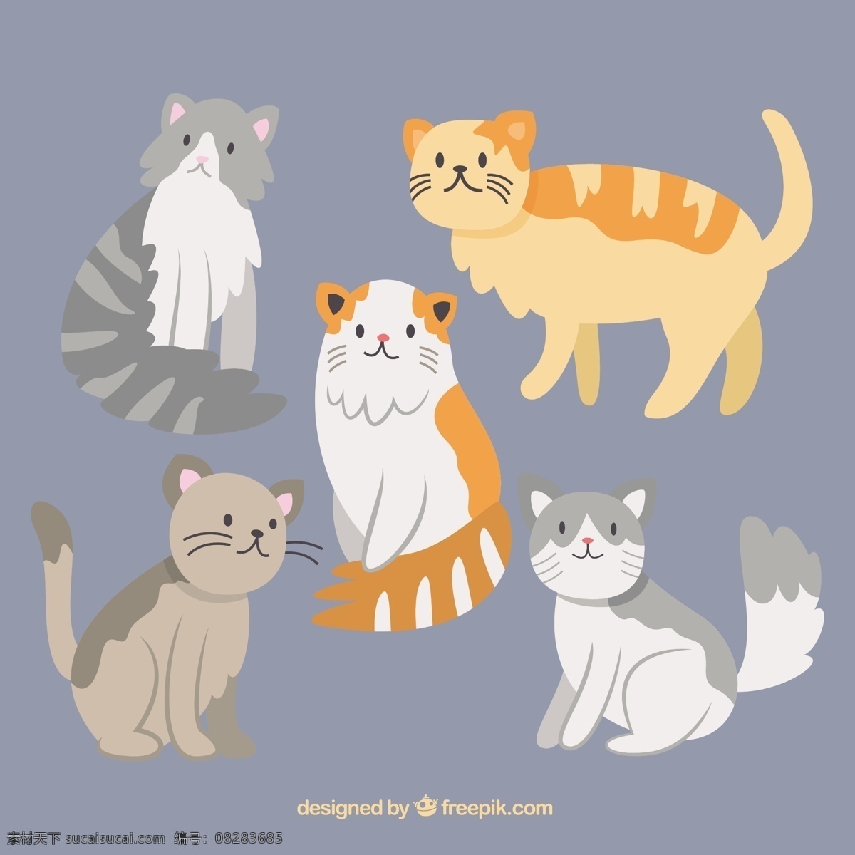 手拉的猫 房子 一方面 自然 猫 动物 手绘 宠物 画 绘制 小猫 野生 野生动物 粗略的草图 毛茸茸的猫 白色