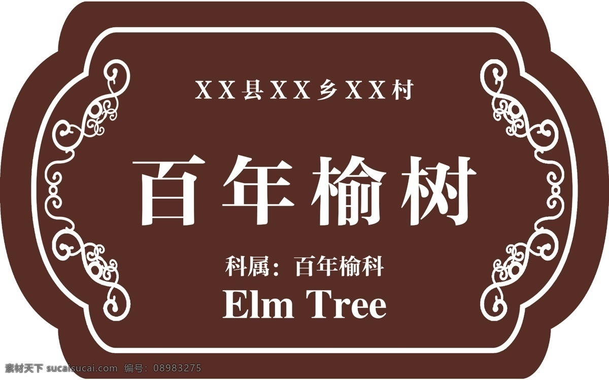 百年榆树 树木挂牌 吊牌 树木名称挂牌 树木 名称