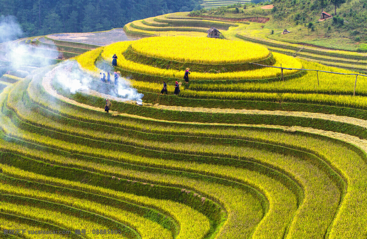 梯田 风景 田园风光 农村 稻田 水稻 山村 山水 绿色 旅游 大自然 自然风景 自然景观