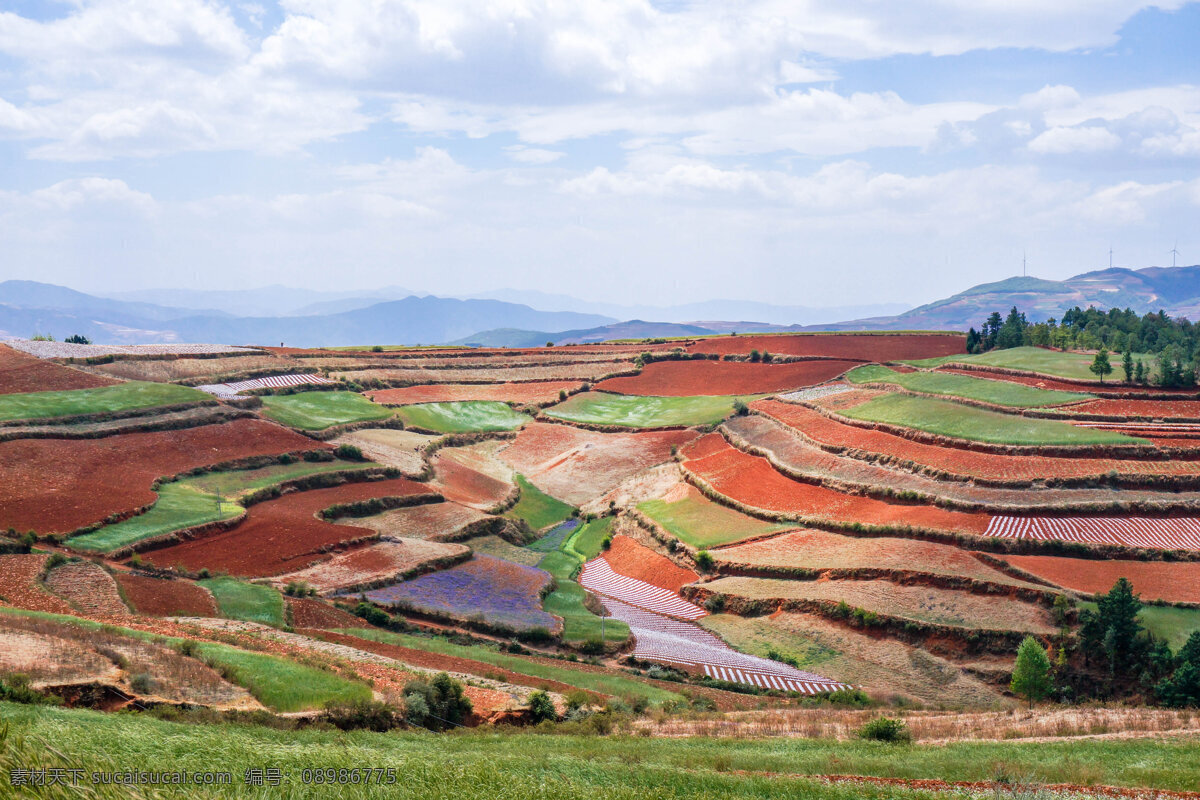 东川红土地 红土地 自然风光 农田 风景 自然景观 自然风景