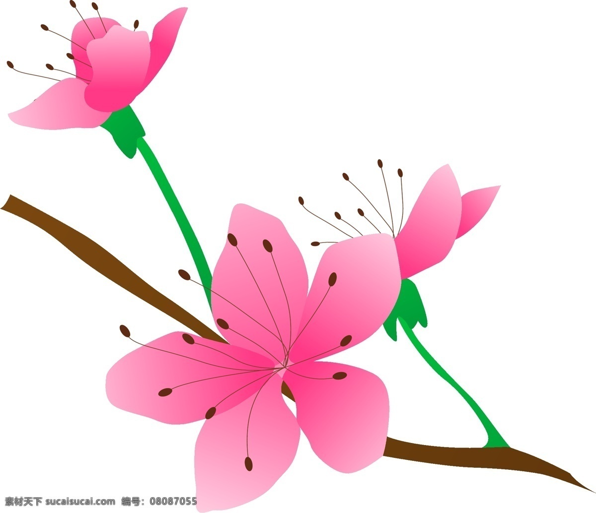 卡通 免 扣 粉色 花朵 花卉 玫瑰 盛开 梅花 腊梅 手绘 粉色花 水墨桃花盛开 中国风 背景 免扣