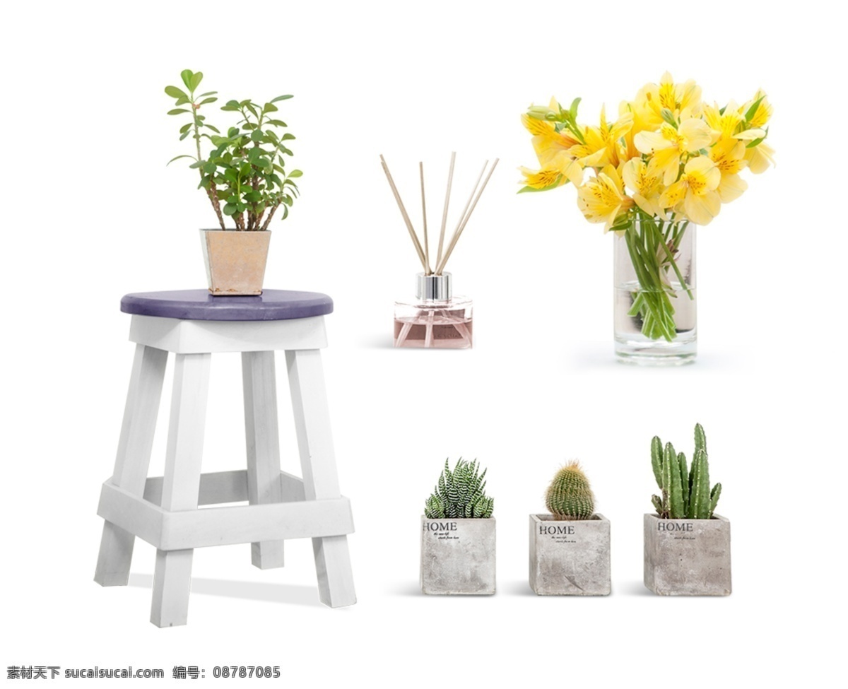 植物 花朵 盆栽 香水 仙人掌 椅子 绿色 环境 合成 元素 清新 盆景 凳子