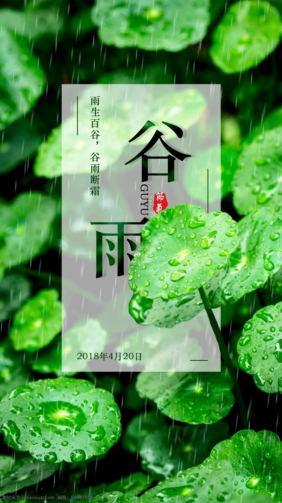 谷雨 清新 简约 节气 海报 文艺 展板 谷雨节气
