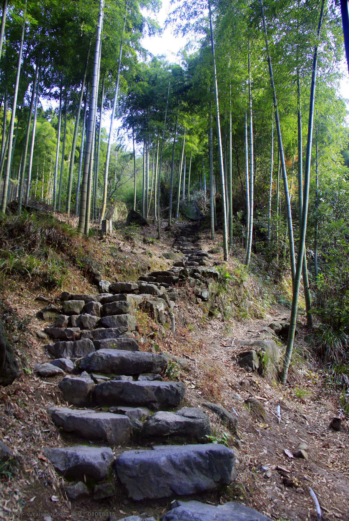 悠游 山居 風景 寂寞 竹林 世外桃園 寧靜 幽靜 石階 悠游山居 风景 生活 旅游餐饮