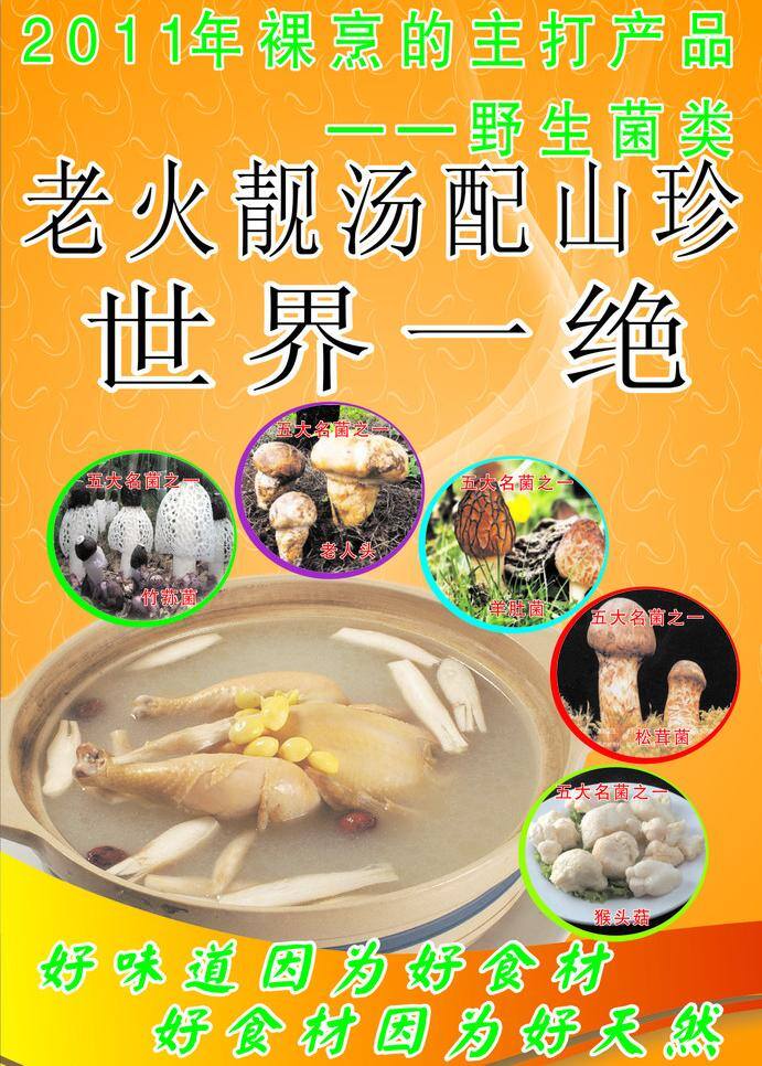 养生 汤 餐饮美食 山珍海味 生活百科 养生汤 老火靓汤 矢量 psd源文件 餐饮素材