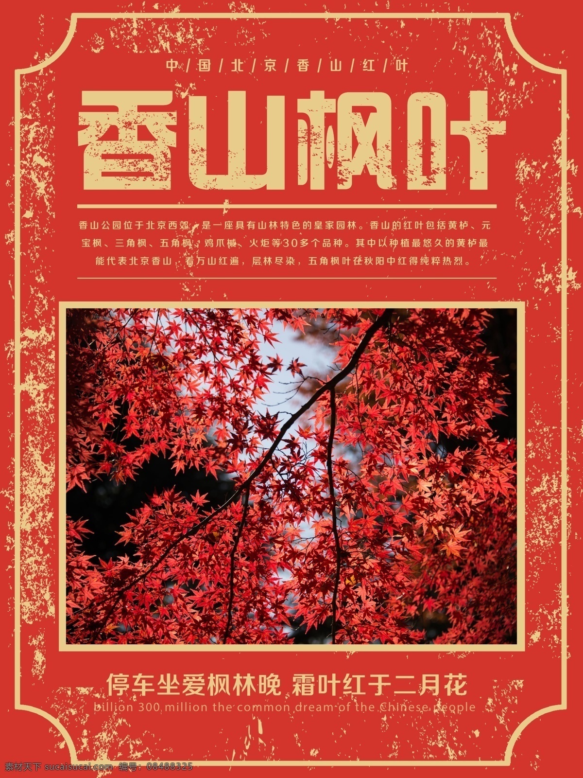 红色 简约 复古 风 香山 红叶 宣传海报 清新 枫叶 旅游 模板 免费