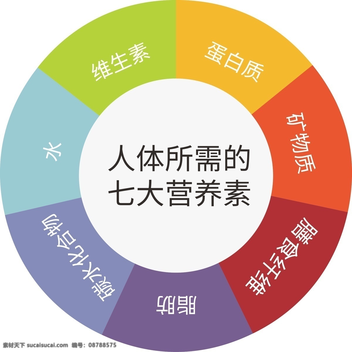 人体七大营养 七大营养 七大营养素 均衡营养 营养