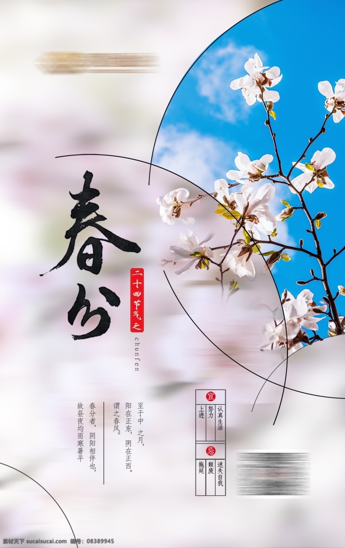 春分 清新 简约 节日 海报 春天 桃花 蓝天 白云