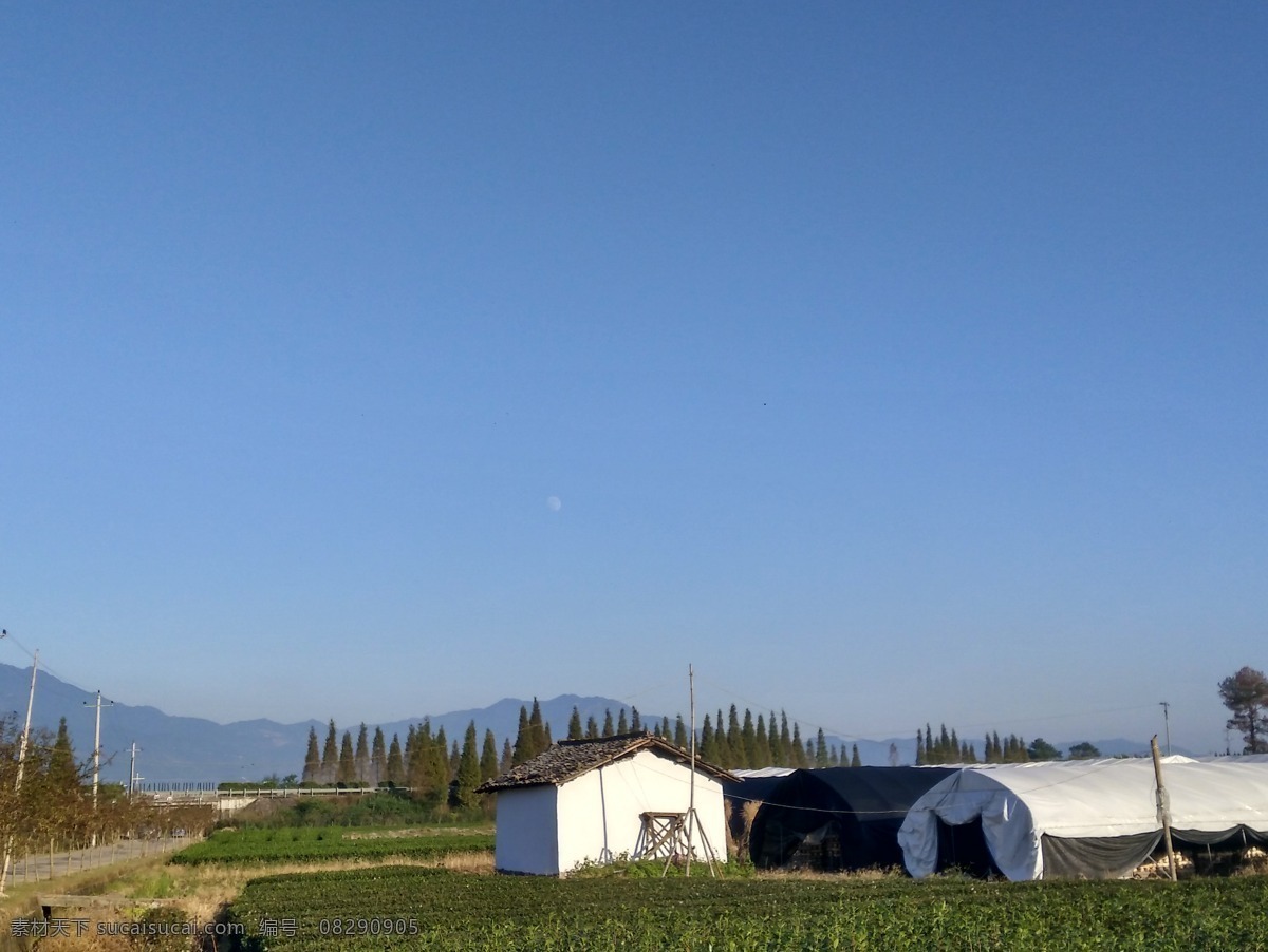 天空与房屋 小树 树果 茶叶 茶树 天空 云朵 蓝色天空 大棚 房屋 月亮 大树 大山 绿色 中国风 田园风光 自然景观