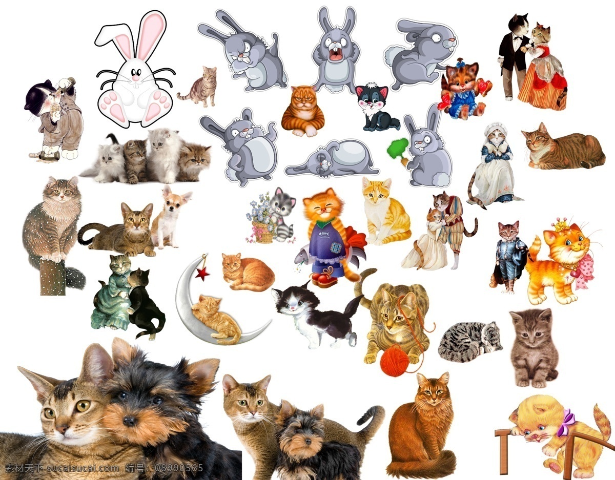 动物 兔子 表情 各种兔子 兔子发怒 奔跑 卡通兔子 猫 小猫 小花猫 猫咪 玩耍 新娘猫 新郎猫 小猫玩耍 毛线球 蝴蝶结 猫和狗 狗狗 漂亮小猫 可爱 长毛狗 分层 文件 源文件