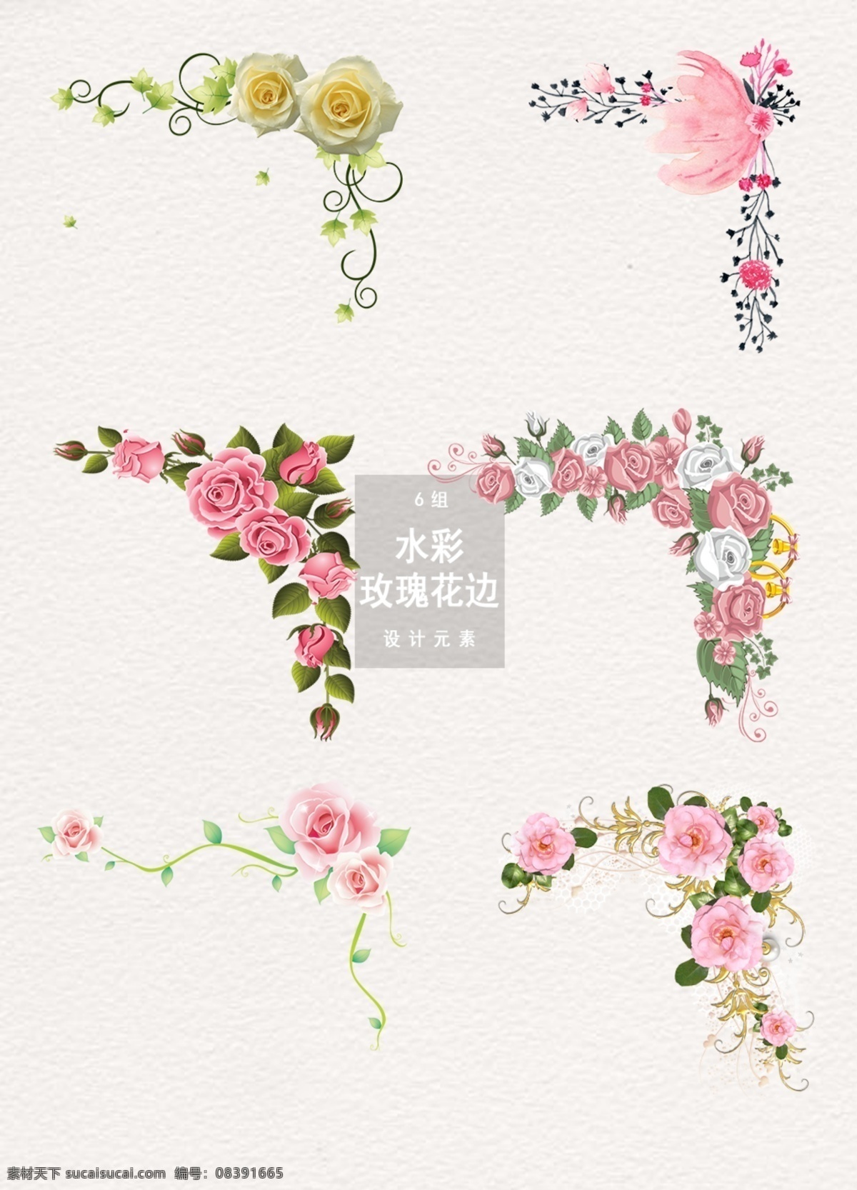 唯美 玫瑰花 边框 花纹图案 玫瑰花装饰 装饰 花纹