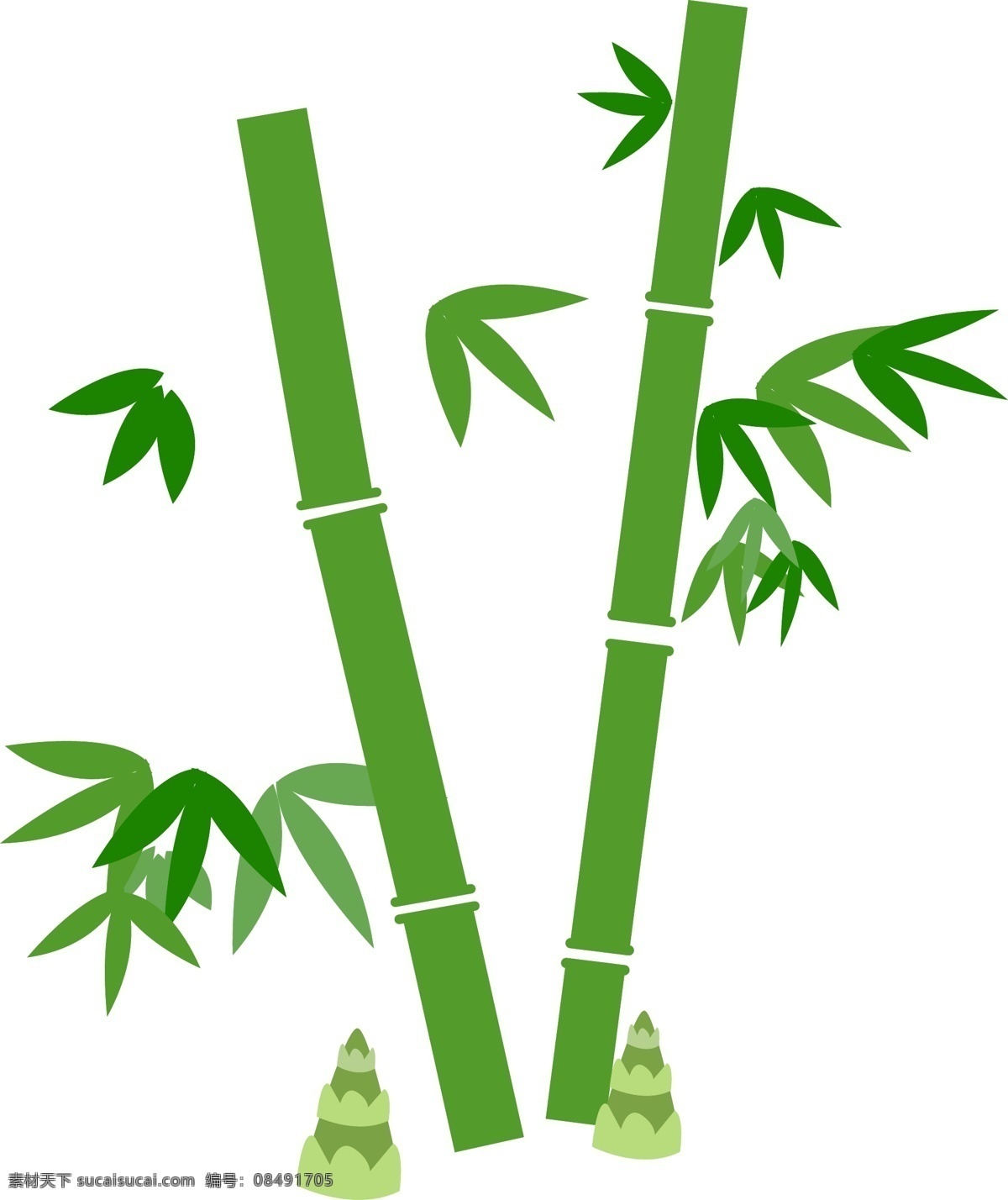 竹子 竹叶 小 竹笋 矢量图 新鲜 自然 绿色 竹林 森林 环保 端午节 植物 png免抠图