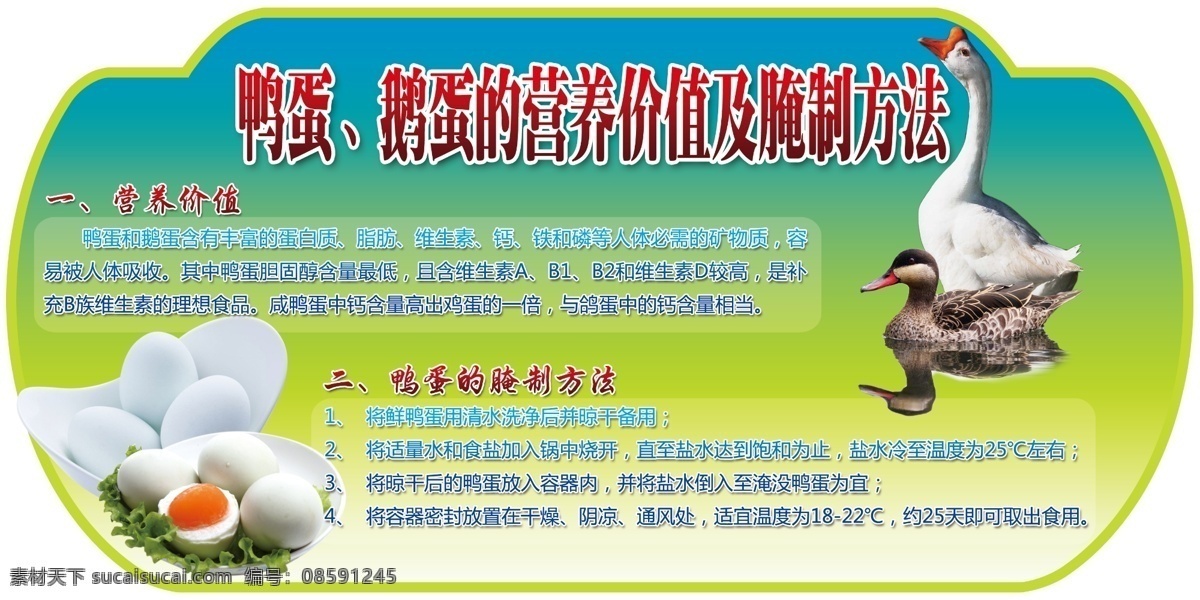 鸭蛋 鹅蛋 营养 价值 营养价值 腌制 鹅 菜单菜谱 广告设计模板 源文件