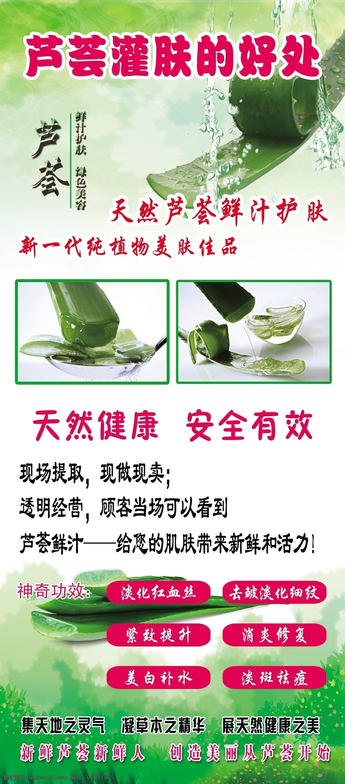 芦荟 灌 肤 好处 芦荟灌肤的 美容 养生 皮肤 分层