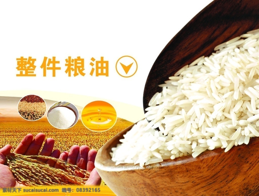 超市粮油 超市 粮油 麦穗 粮食 大米 油 稻田 丰收 金色 分层 源文件