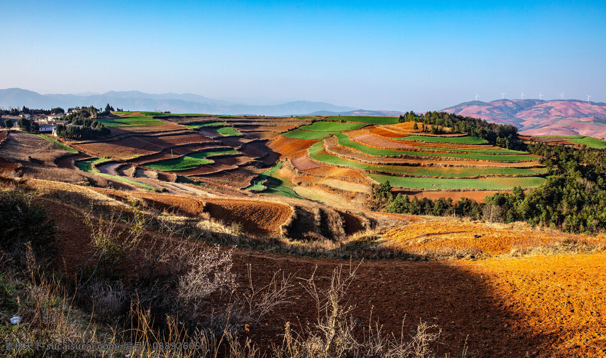 云南 东川 红土地 风景