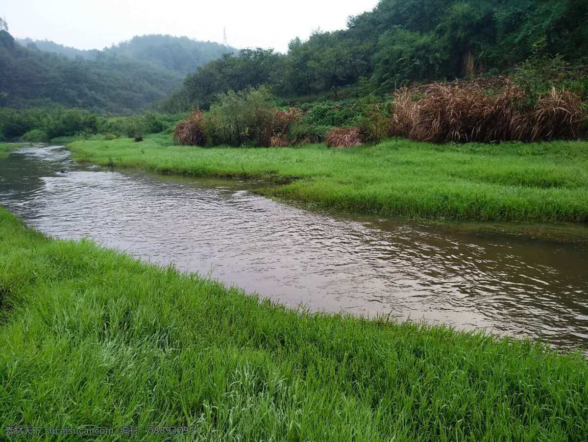 河边 河草 河水 小河流水 绿草流水 自然景观 山水风景