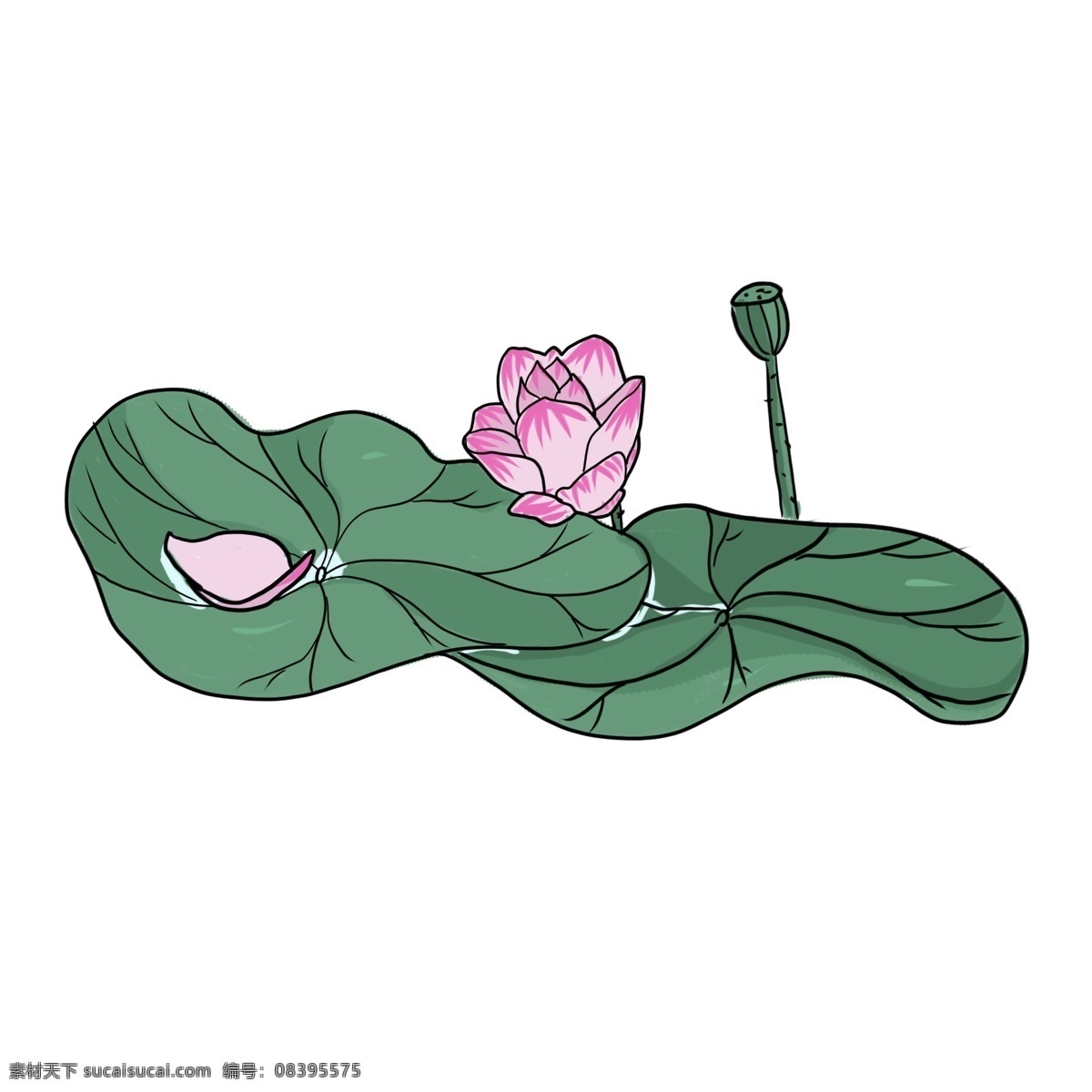 手绘 中国 风 荷花 彩色 谷雨 清明 卡通 荷叶 免抠 无背景 透明底 插画 原创 装饰 平面设计 中国风 装饰设计 水墨画