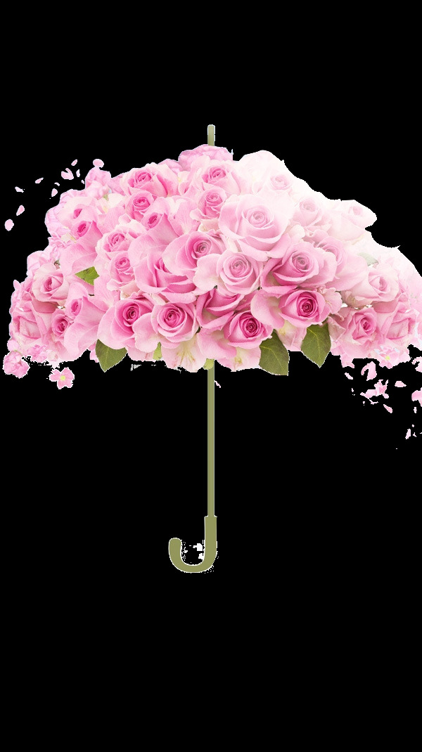 粉色 玫瑰花 底纹背景 花束 鲜艳花朵 美丽鲜花 鲜花摄影 花卉 情人节素材 花草 花草植物 生物世界