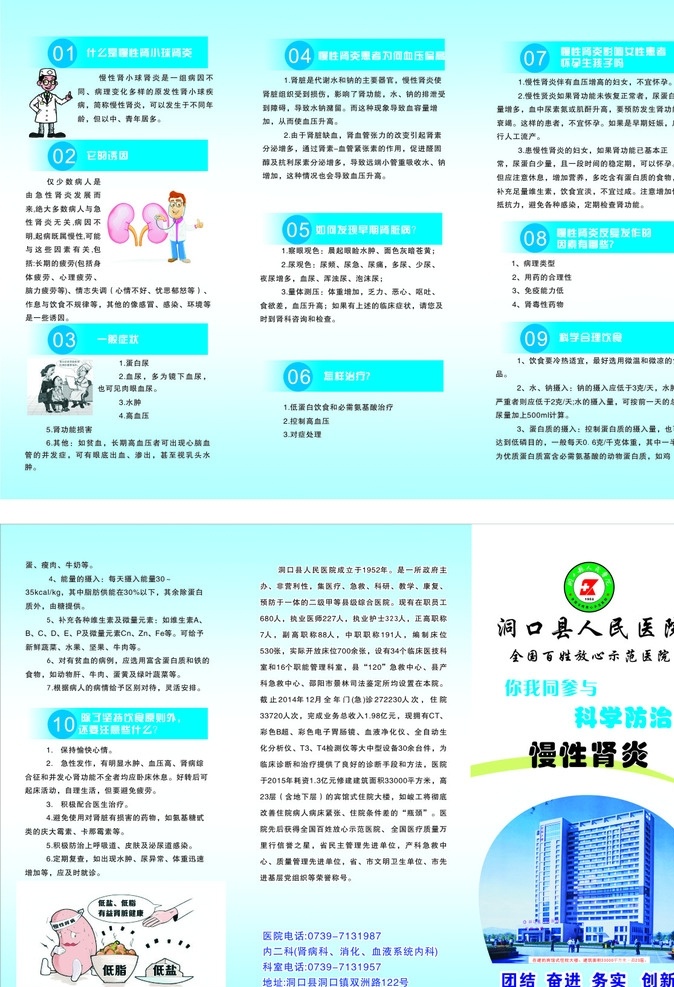 慢性 肾小球 肾炎 医院 疾病 消化 宣传 折页 dm宣传单