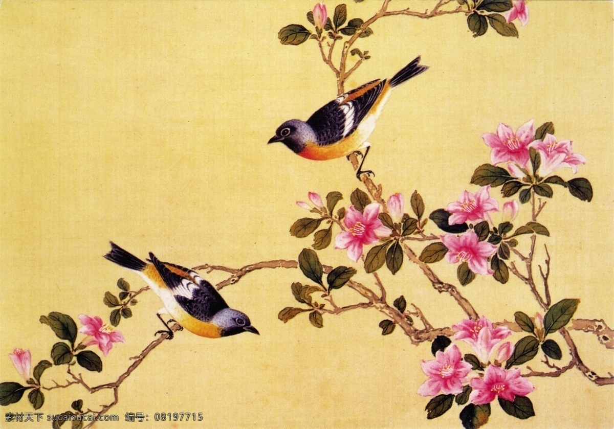 古典 枝 上 喜鹊 成 双 高清 大图 中式 花 装饰画 效果图 壁纸 挂画 贴画 墙纸