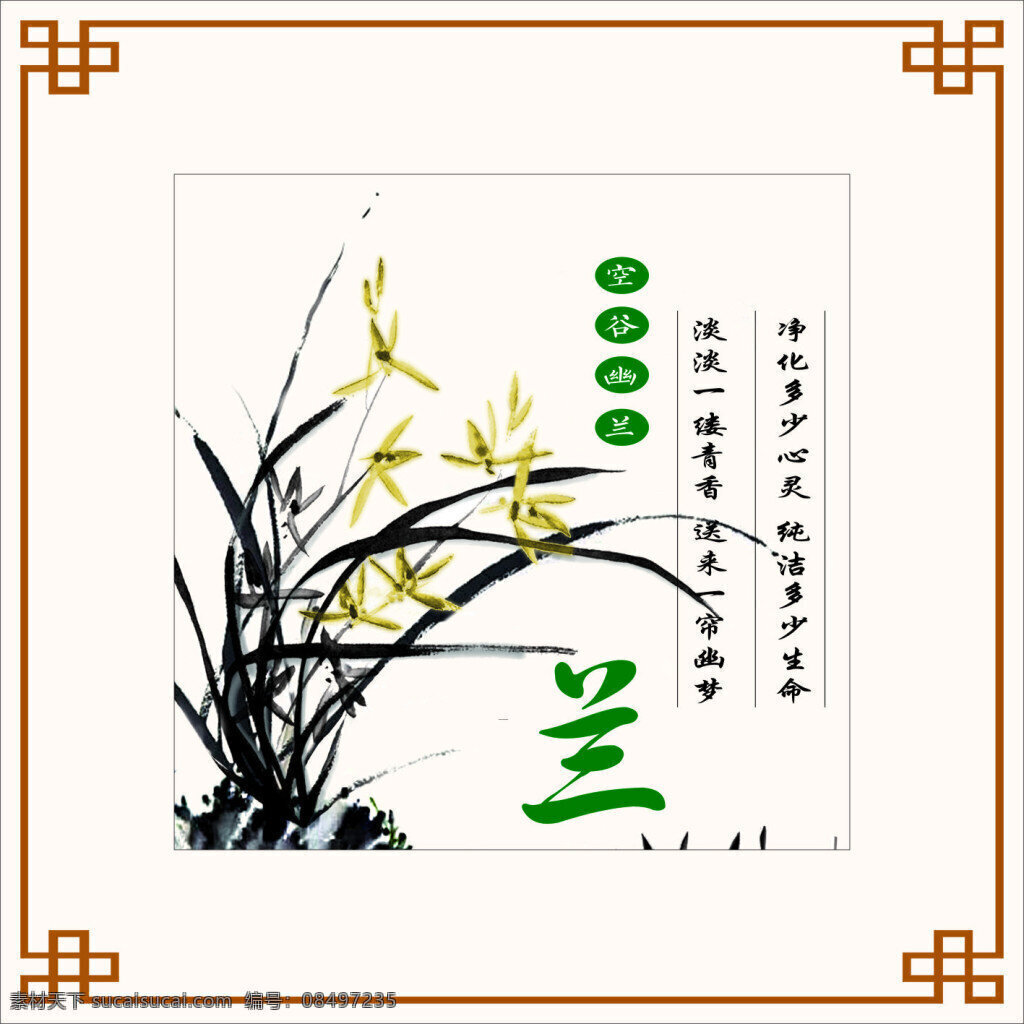 兰花展板 兰花 画册 壁画 展板
