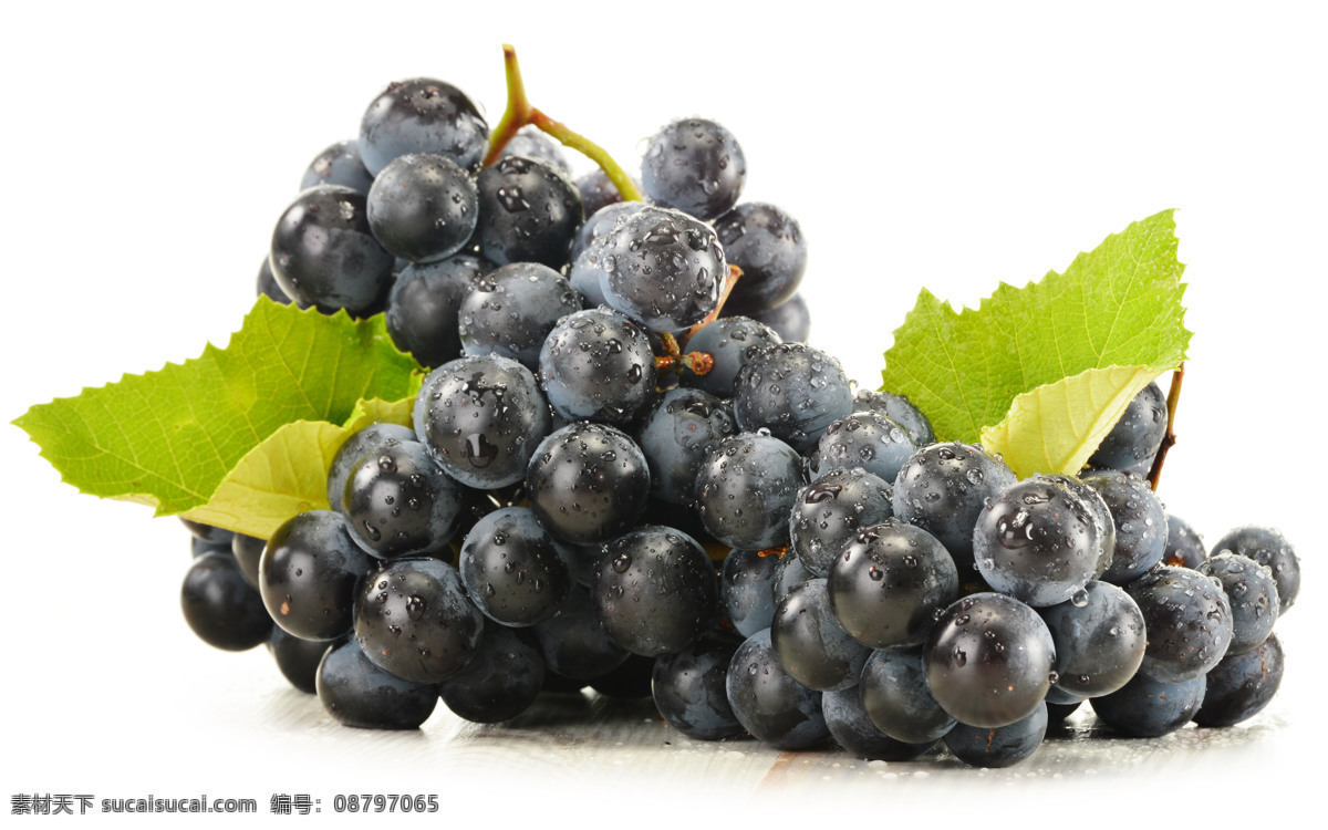 葡萄 紫葡萄 巨峰葡萄 提子 红提 葡萄藤 葡萄架 甜美 多汁 水果 生物世界