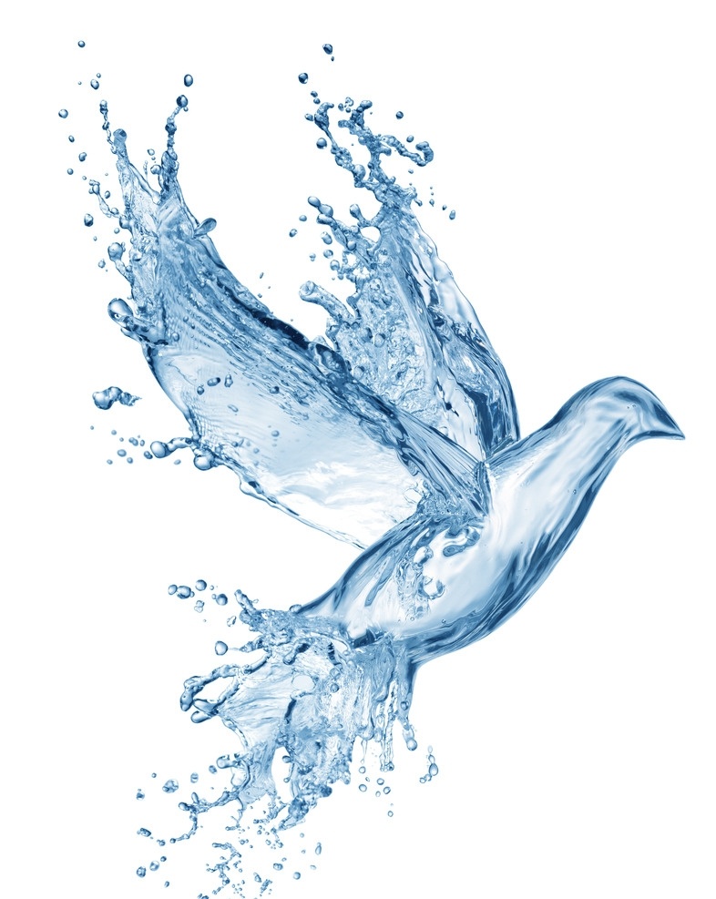 透明水滴鸽子 飞翔 飞行 鸽子 晶莹 可爱 鸟类 生物世界 元素设计 分层