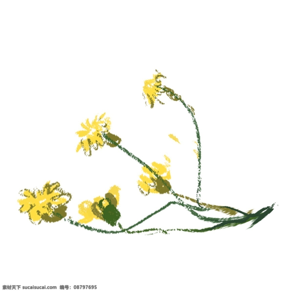手绘 卡通 黄色 菊花 免 抠 图 中药 药材 黄菊花 卡通菊花 采菊东南下