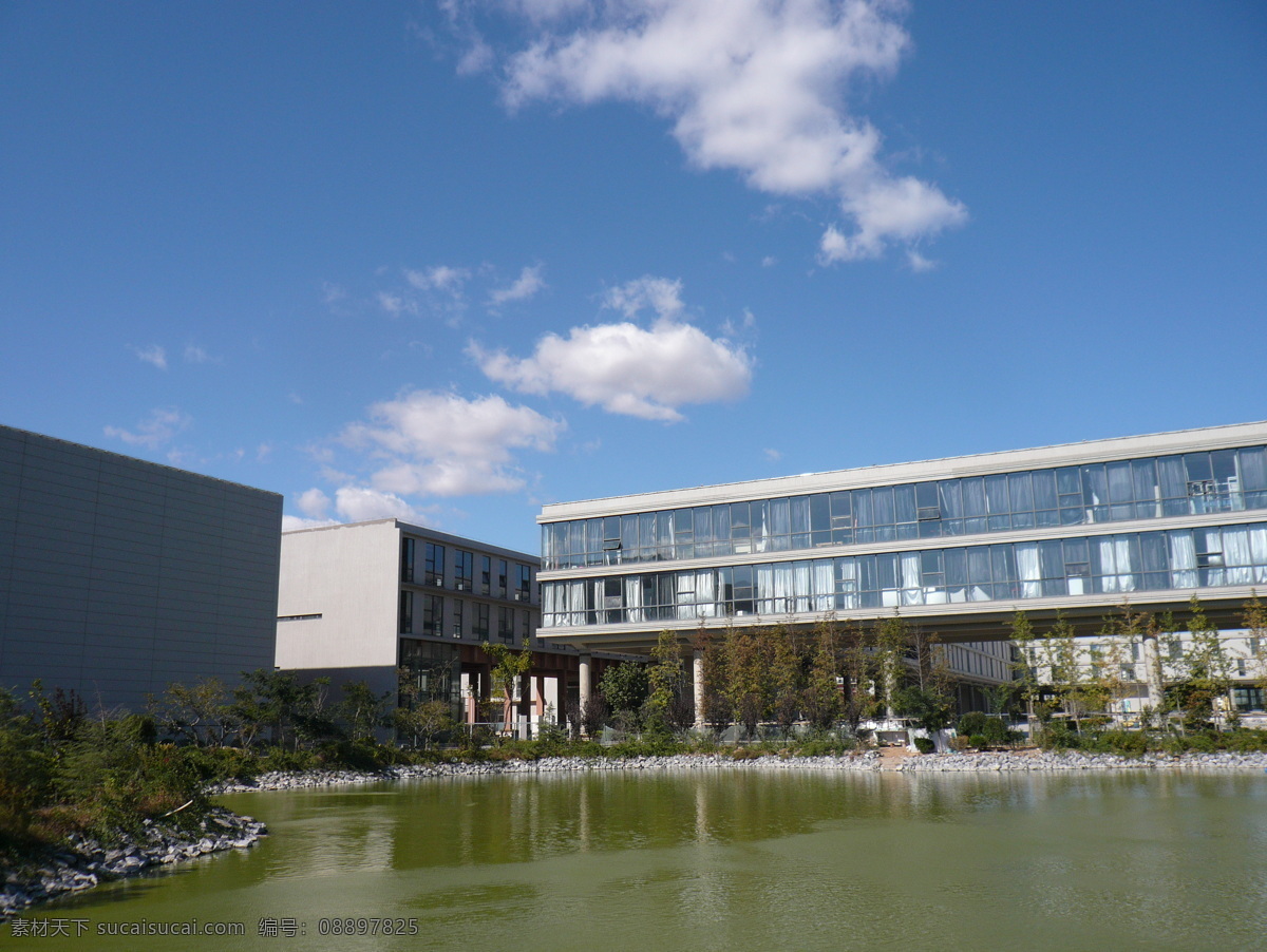 校园 鲁迅美术学院 池塘 蓝天 白云 建筑园林
