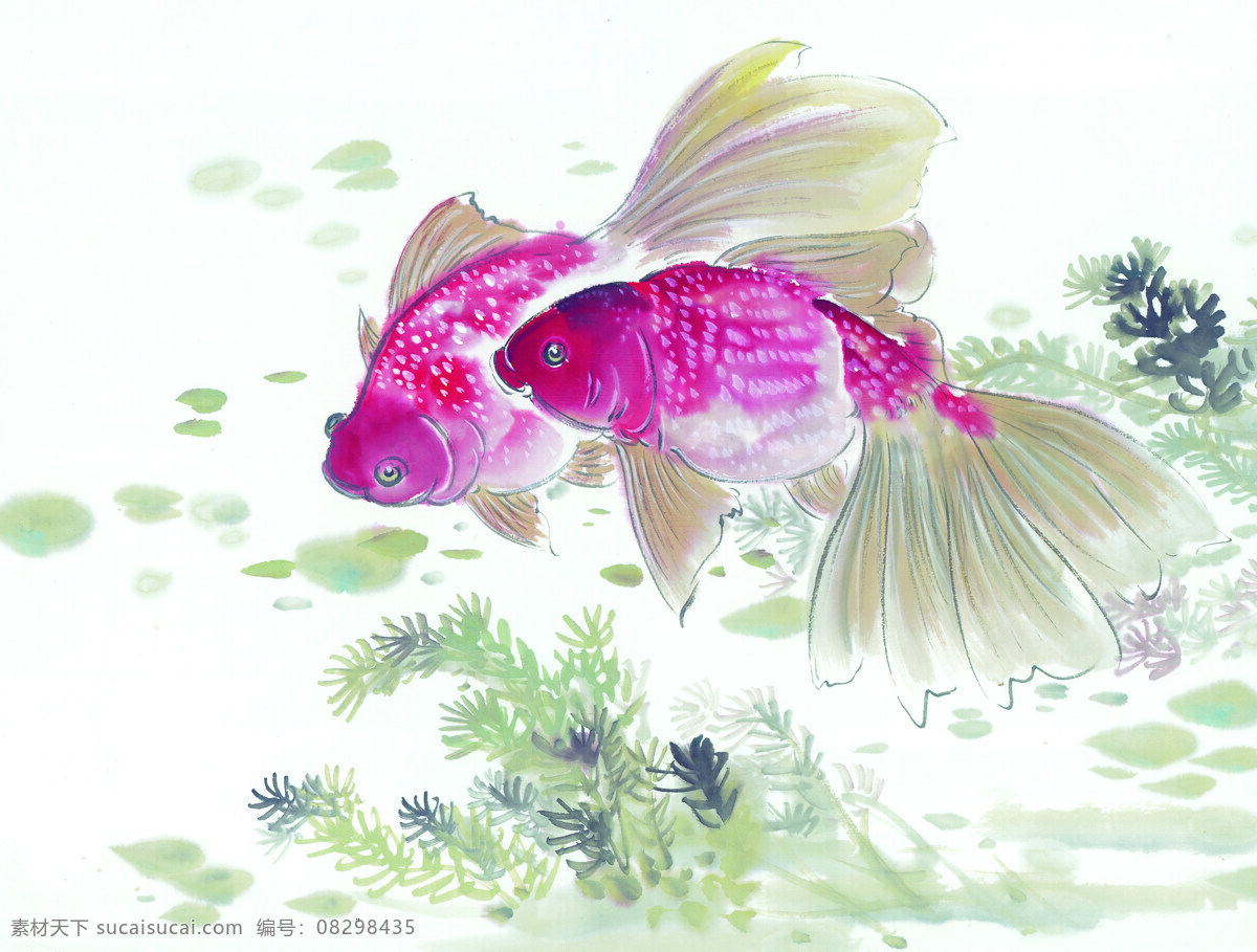 中华 艺术 绘画 古画 鱼 水生植物 金鱼 螃蟹 中国 古代 传统绘画艺术 美术绘画 名画欣赏 水彩画 水墨画 文化艺术