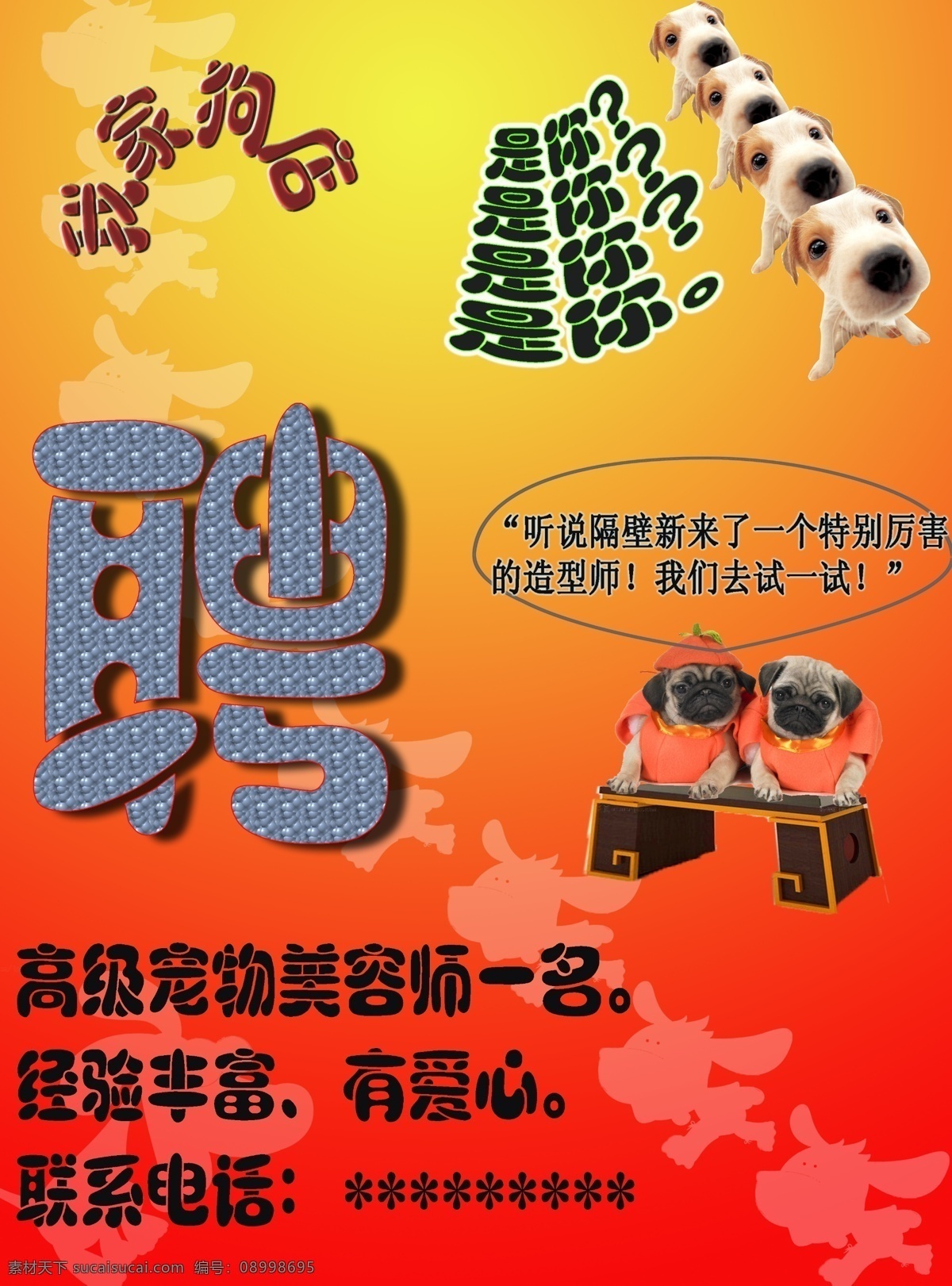 宠物 店 招聘 海报 分层