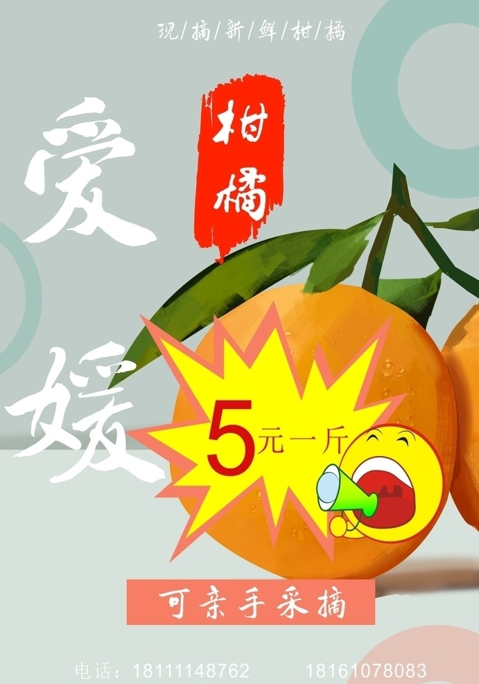 柑橘海报 柑橘传单 柑橘名片 爱媛海报 水果海报 水果传单 爱媛38号 价签