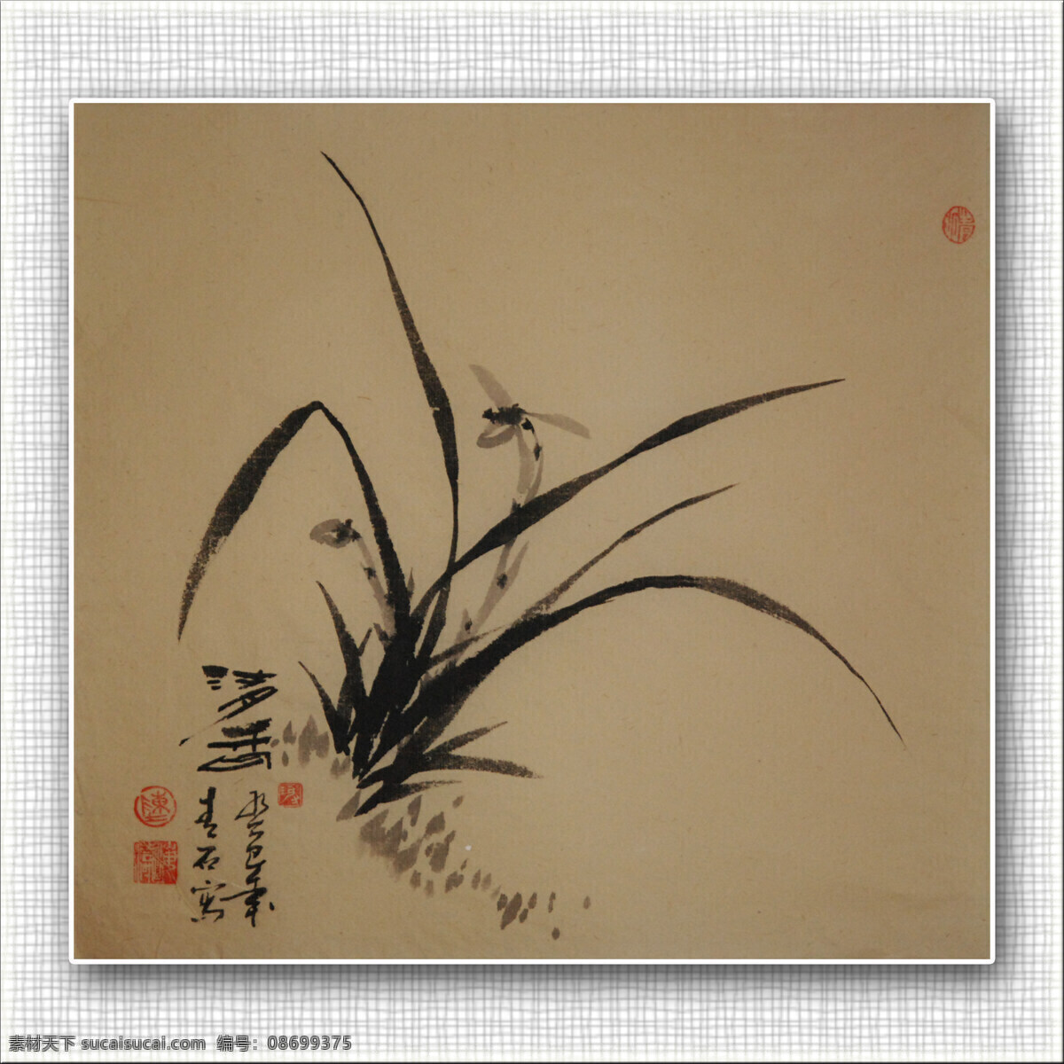 国画 绘画书法 兰花 文化艺术 文字 印章 青石 兰花设计素材 兰花模板下载 青石国画兰花 装饰素材 雕刻 图案