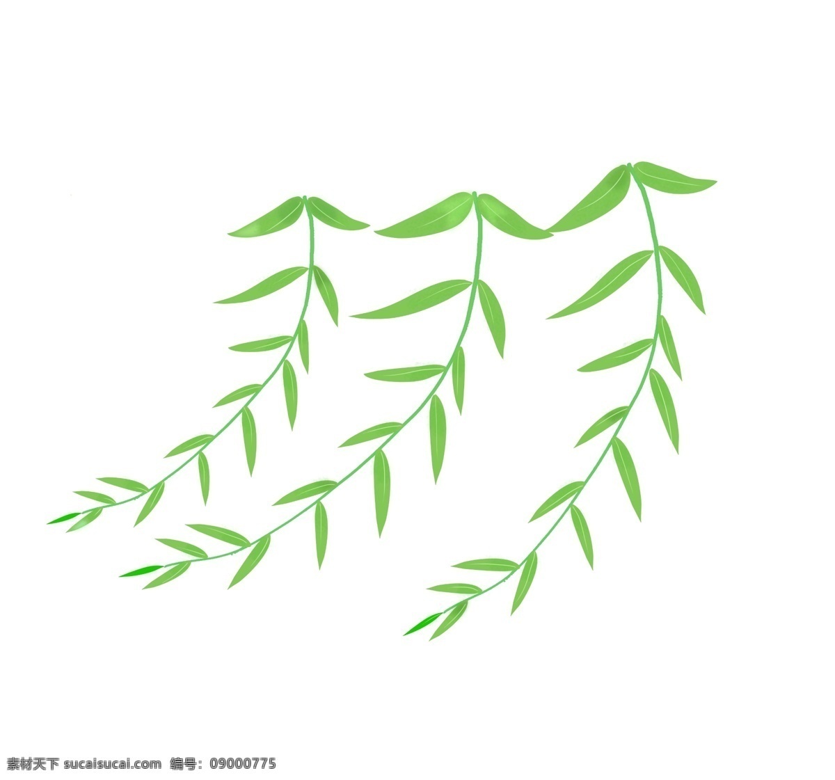 三条 柳叶 树枝 插画 三条柳叶插画 绿色的叶子 柳叶飘飘效果 绿色 树叶 绿色的植物 创意树枝插画