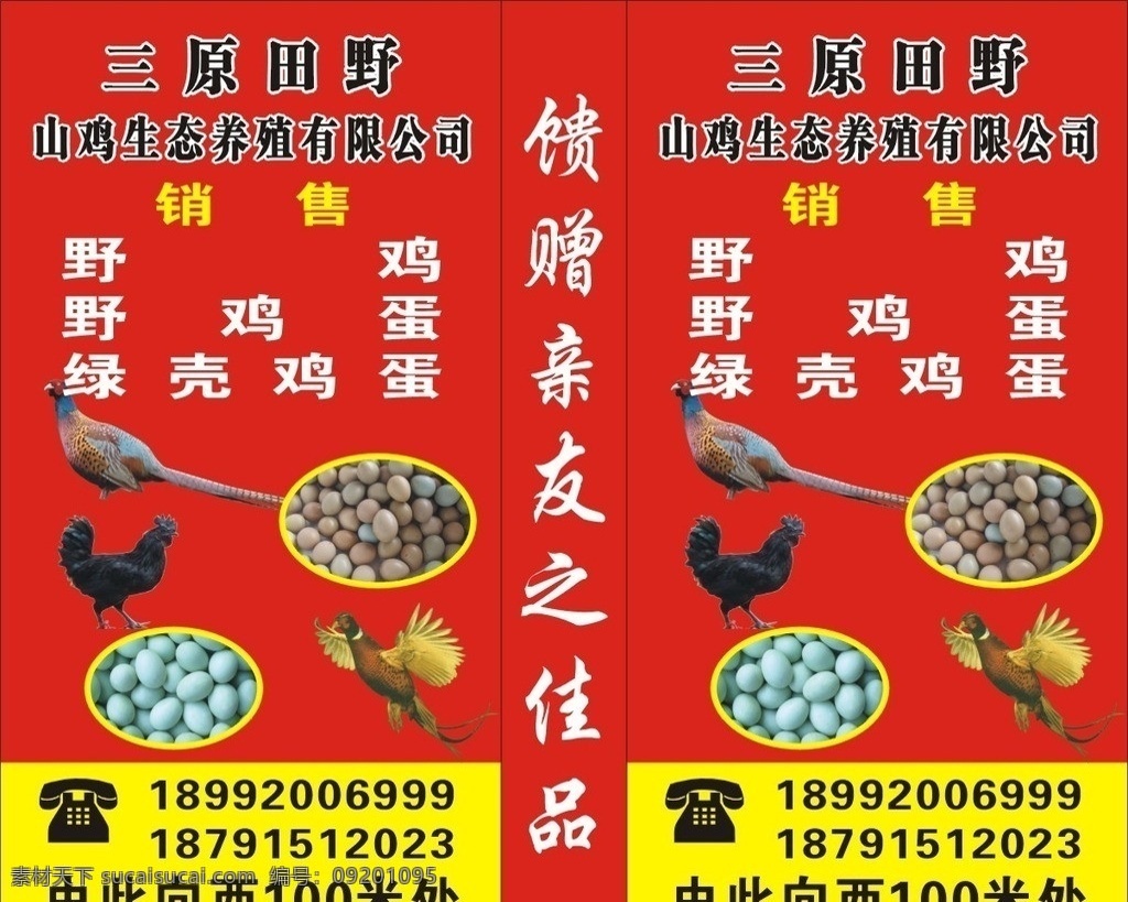土鸡店灯箱 绿色 红色 黄色 黑色 白色 公鸡 母鸡 绿壳蛋 鸡蛋 野鸡 野鸡蛋 土鸡 矢量