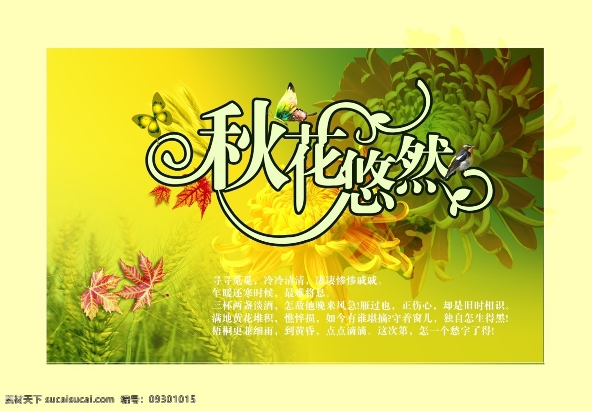 秋 花 悠然 花边 花朵 花素材 菊花 平面设计素材 秋天 秋花 psd源文件