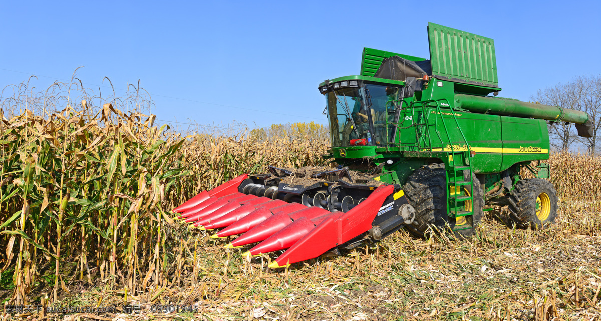 玉米地 里 收割机 联合收割机 拖拉机 秋收 农用机 粮食 其他类别 现代科技