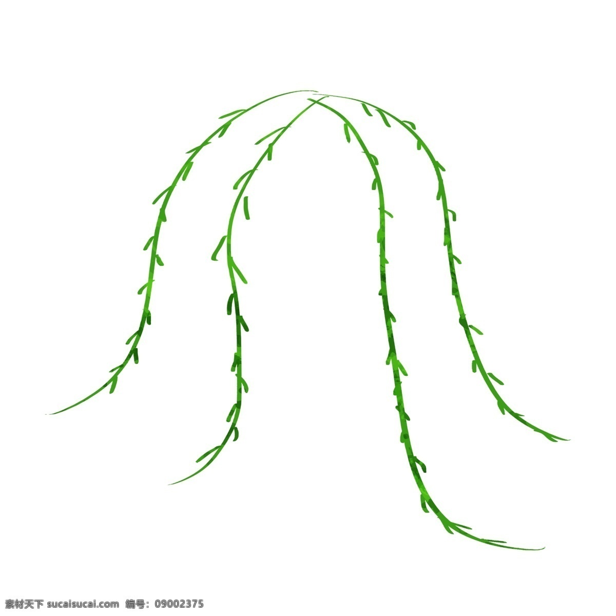 手绘 植物 柳树 树叶 插画 风格 清明节插画 清明节 植物装饰图案 手绘装饰风格 插画肌理柳树 柳属植物绿色 绿色藤曼植物