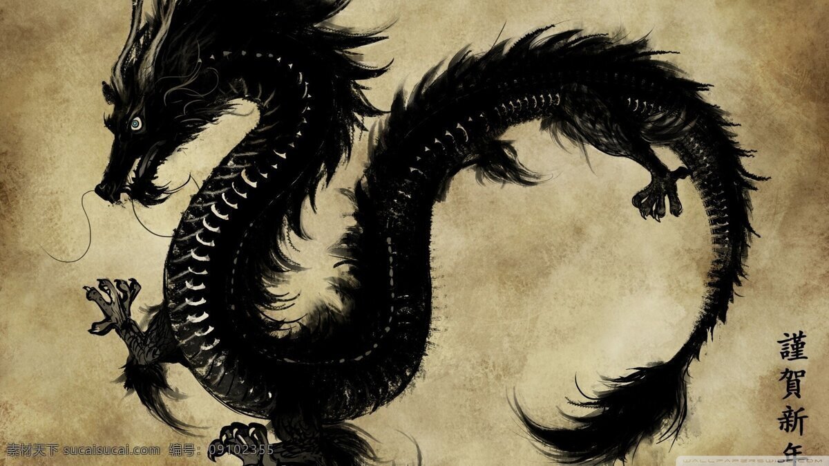 龙图 黑色 龙 生肖 图腾 插画集