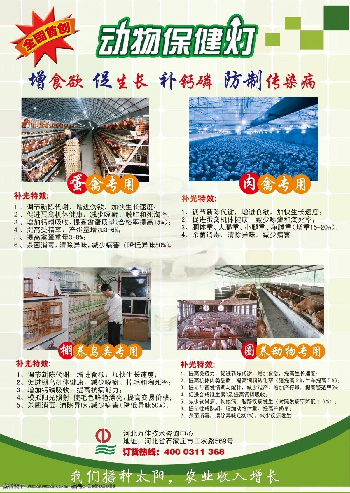 保健 大气 广告设计模板 绿色 其他模版 物流 宣传页 源文件 动物 灯 模板下载 动物灯 海报 防制传染病 宣传海报 宣传单 彩页 dm