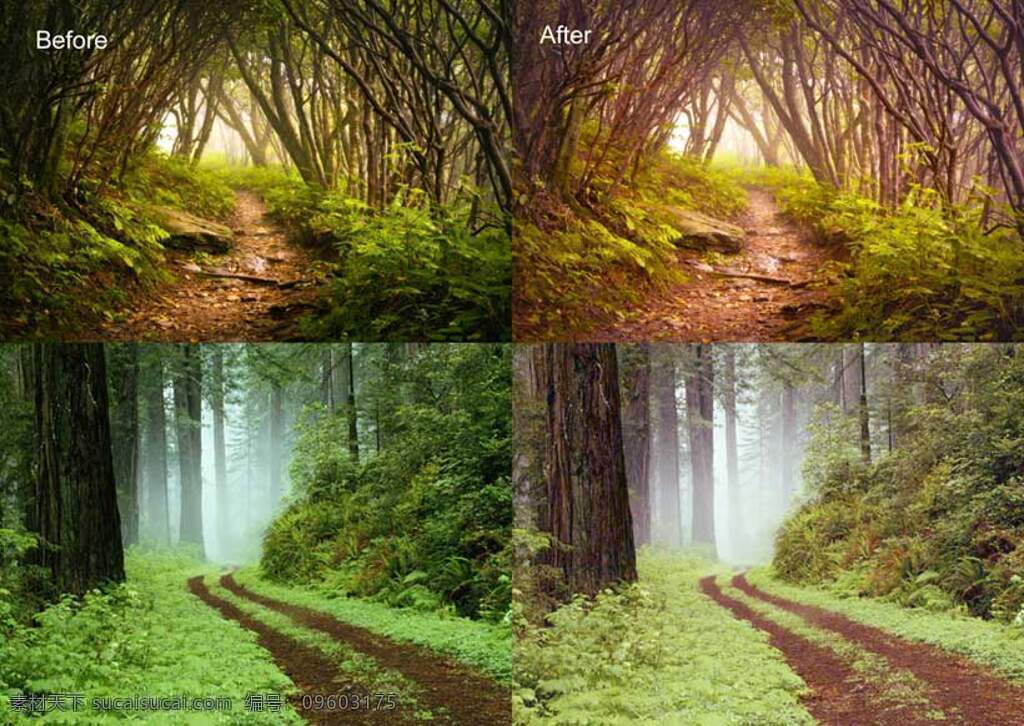 森林 照片 柔 化 处理 调色 动作 ps动作 ps调色 ps素材 照片处理 森林照片 柔化处理 柔美色调 淡雅色调 淡色处理 柔美效果 purple and green forest photoshop actions