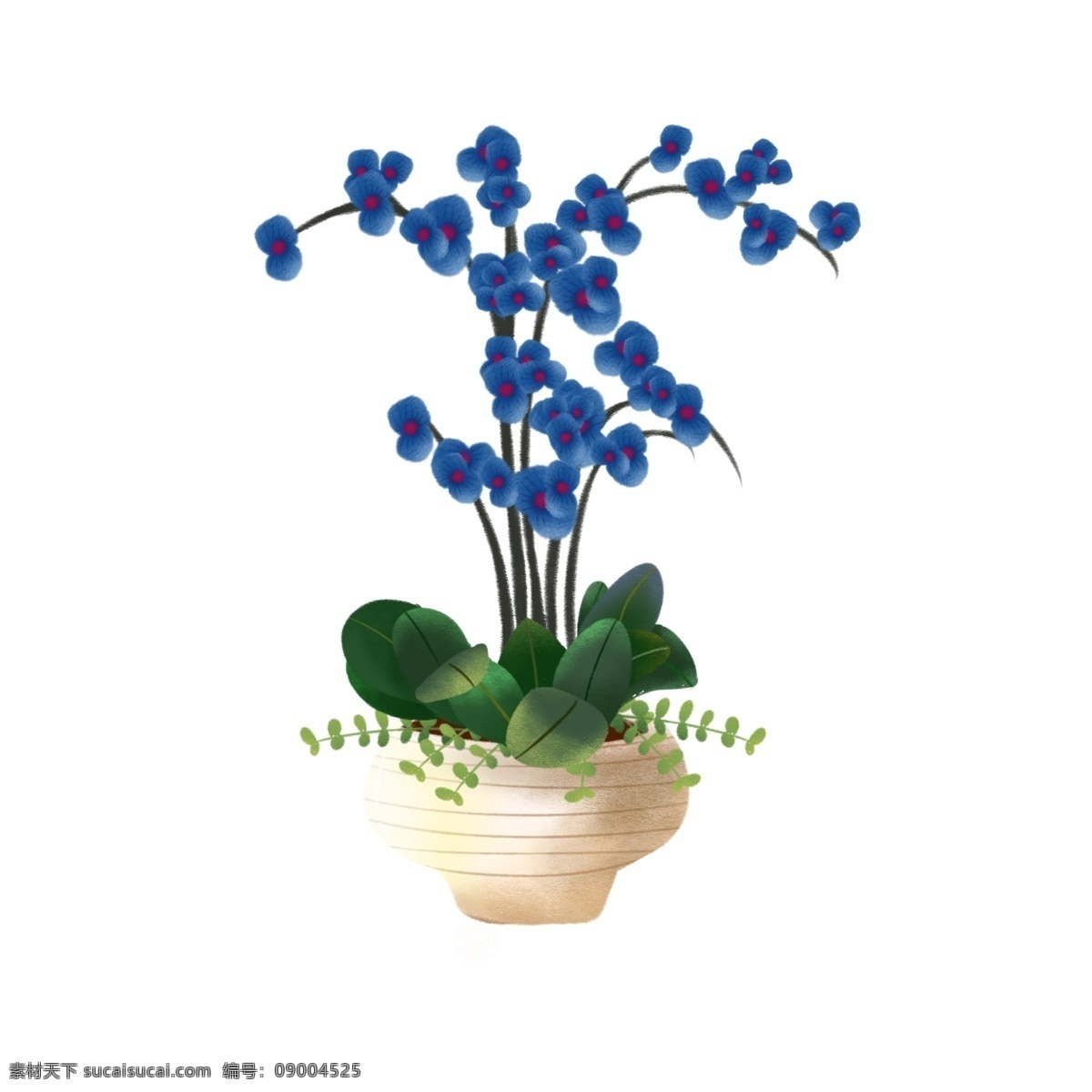 手绘 风 蓝色 植物 蝴蝶兰 手绘风 花朵 花瓶 元素 可商用