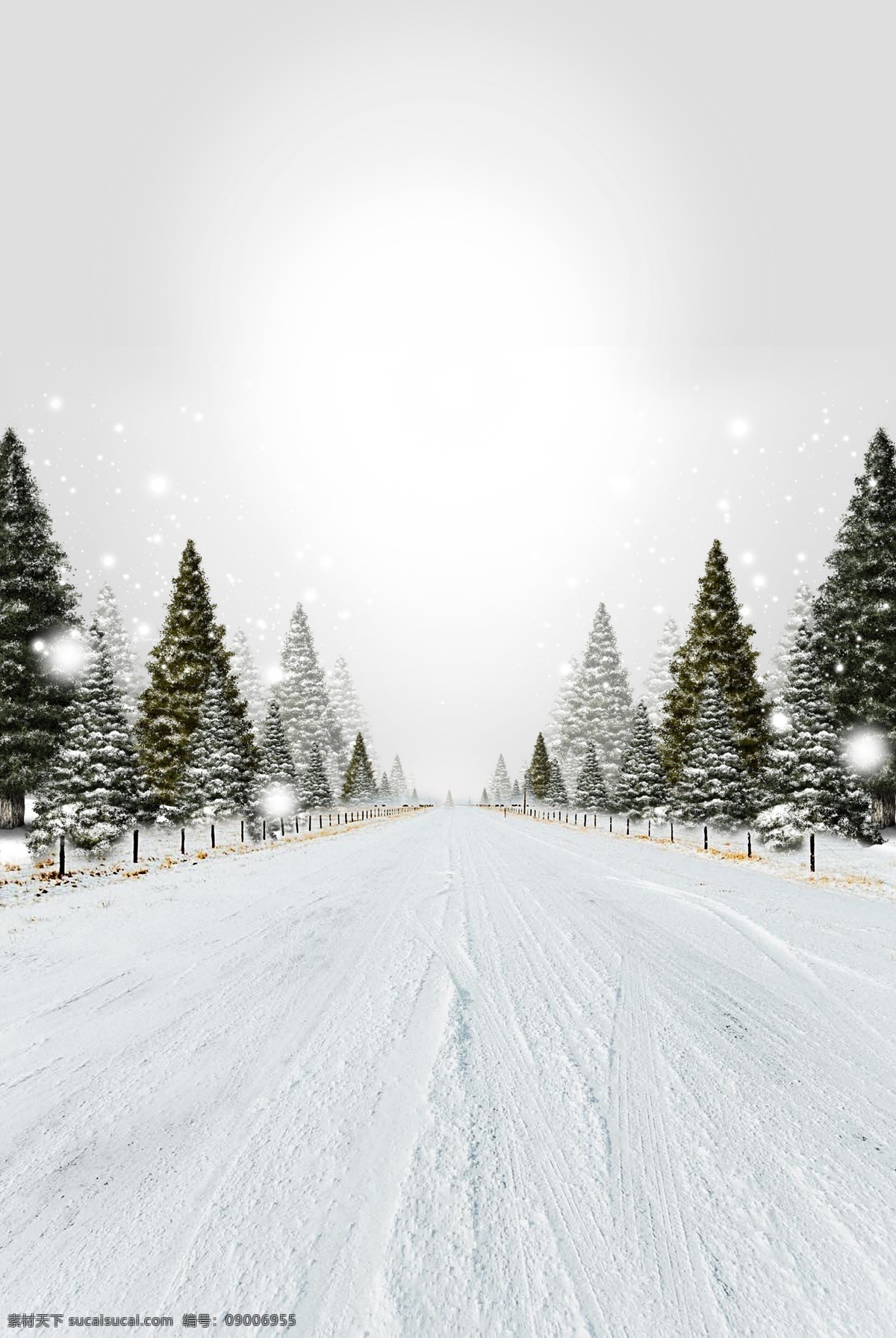 冬季背景 冬天背景 冬季雪景 白雪皑皑 树林雪地 冬季 冬季美景 冰天雪地 冬季新品